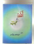 Allah ke Mehboob Azeemi Book by Khwaja Shamsuddin Azeemi